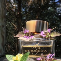 My Burberry EDP