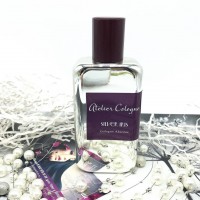 Atelier Silver Iris